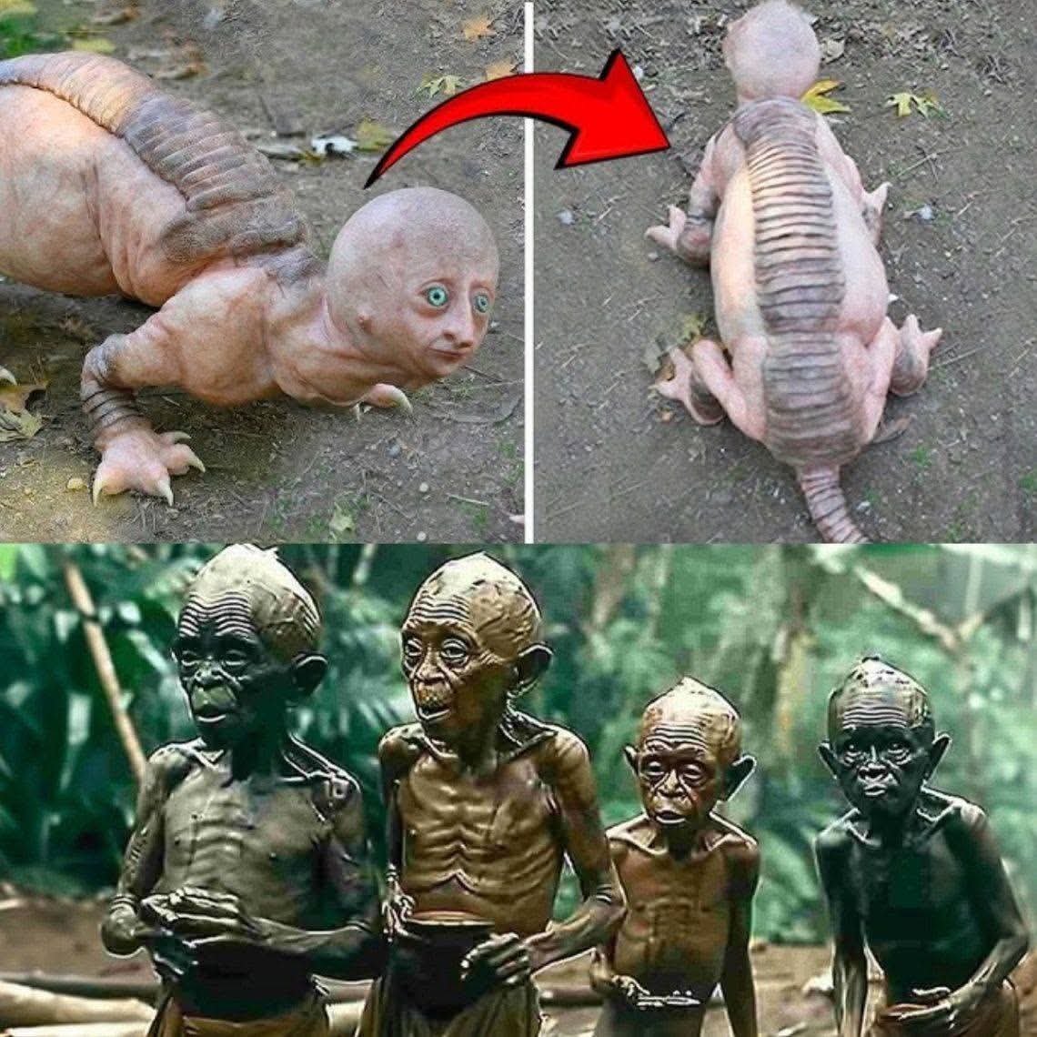 Intriguing Findings: The Spookiest Discoveries Uncovered in the Woods